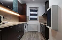 Apartament 1 camera la cheie, Zona Gruia