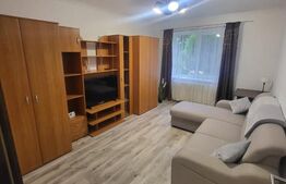 Apartament 1 camera la cheie, Zona Gruia