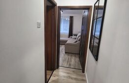 Apartament 1 camera la cheie, Zona Gruia