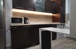 Apartament 1 camera la cheie, Zona Gruia