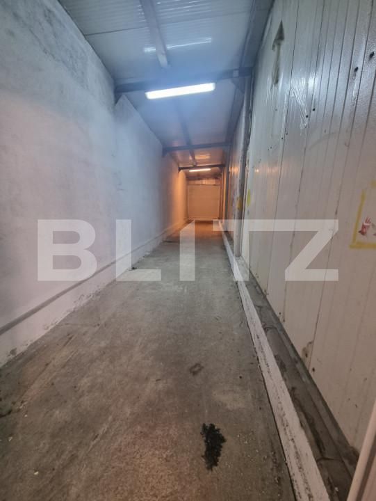 Spațiu comercial de închiriat Bartolomeu - 158602SIC | BLITZ Brașov | Poza3