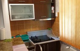 Apartament cu 1 camera, etaj intermediar, 24mp, zona Farmec