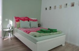 Casa individuala de 2 camere , 65mp , zona Kaufland , Marasti