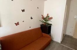 Garsoniera , pet friendly , disponibil imediat , zona strazii Lombului 