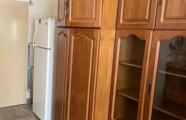 Garsoniera , pet friendly , disponibil imediat , zona strazii Lombului 