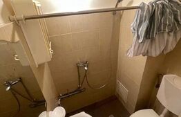 Garsoniera , pet friendly , disponibil imediat , zona strazii Lombului 