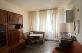 Garsoniera , pet friendly , disponibil imediat , zona strazii Lombului 