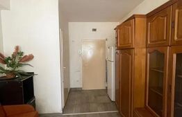 Garsoniera , pet friendly , disponibil imediat , zona strazii Lombului 