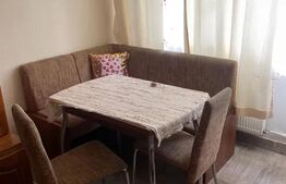 Garsoniera , pet friendly , disponibil imediat , zona strazii Lombului 