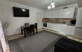 Apartament semidecomandat, mobilat si utilat, parcare, zona Profi str. Cetatii