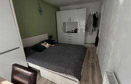 Apartament semidecomandat, mobilat si utilat, parcare, zona Profi str. Cetatii