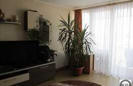 Vanzare 2 camere, 58 mp, balcon de 7 mp, decomandat, zona Porii!