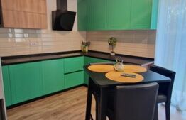 Casa 4 camere Stupini, individuala ,lux, 500 mp teren, 117 mp utili