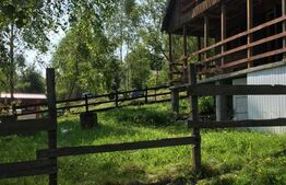 Cabana de vanzare Salaj, 405 mp teren, Sat Ciucea, 