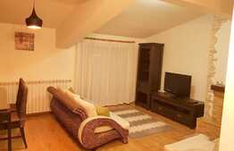 2 camere, 60 mp, imobil nou, mobilat modern, zona strazii Eftimie Murgu