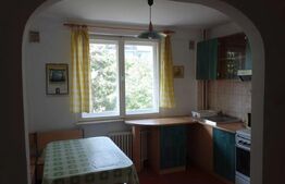 Apartament mobilat, de 2 camere, zona Iulius Mall