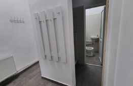 Spatiu comercial ideal pentru showroom/alimentatie publica, Plopilor