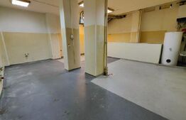 Spatiu comercial ideal pentru showroom/alimentatie publica, Plopilor