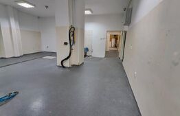 Spatiu comercial ideal pentru showroom/alimentatie publica, Plopilor