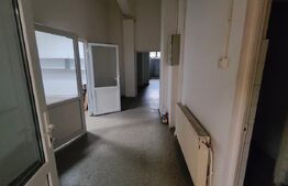 Spatiu comercial ideal pentru showroom/alimentatie publica, Plopilor