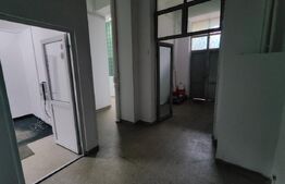 Spatiu comercial ideal pentru showroom/alimentatie publica, Plopilor