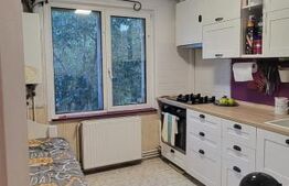 Garsoniera, decomandata, Uzina 2