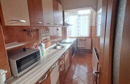 Garsoniera decomandata Tractoru