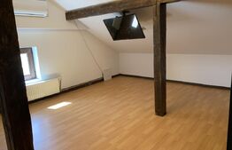 Apartament 3 camere, parcare, Pet-Friendly, AC, zona Fabricii