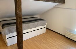 Apartament 3 camere, parcare, Pet-Friendly, AC, zona Fabricii