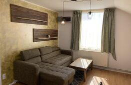 Apartament 3 camere, parcare, Pet-Friendly, AC, zona Fabricii