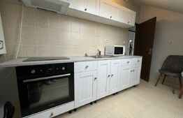 Apartament 1 camera, modern, 33 mp, zona Eroilor 