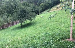 De vanzare teren unic in Brasov (vedere panoramica asupra orasului)