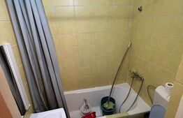 Garsoniera, 22 mp, etaj intermediar,pet friendly zona Bucium 