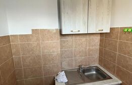 Garsoniera, 22 mp, etaj intermediar,pet friendly zona Bucium 