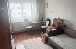 Oportunitate de investitie! Garsoniera de 22 mp, etaj intermediar, zona FSEGA