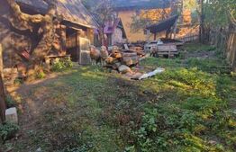 Casa Bran zona Centrala, langa Castel Bran Vedere spre munte