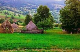 Teren intravilan/extravilan, 8.235 mp, Rogojel