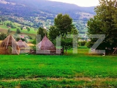 Teren de vânzare Rogojel - 158934TV | BLITZ Cluj-Napoca | Poza1