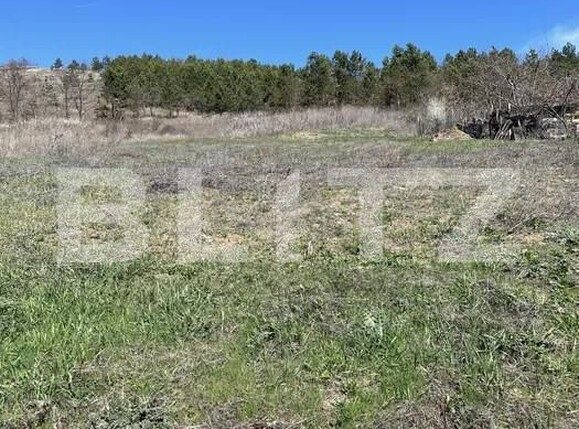 Casa de vânzare 5 camere Câmpeneşti - 158938CV | BLITZ Cluj-Napoca | Poza6