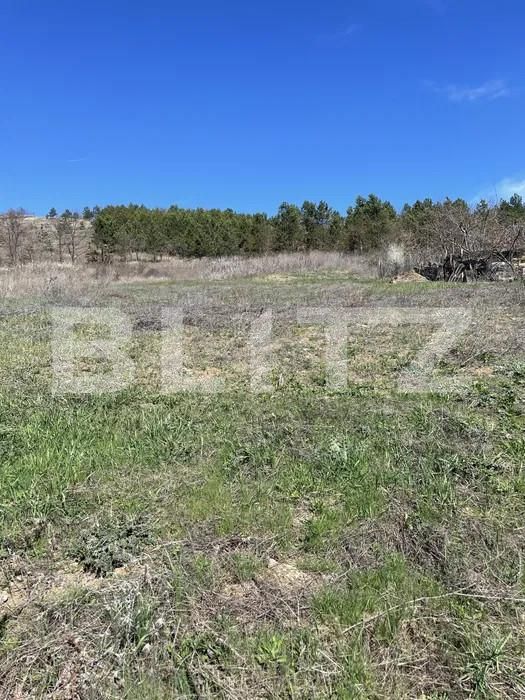 Casa de vânzare 5 camere Câmpeneşti - 158938CV | BLITZ Cluj-Napoca | Poza6