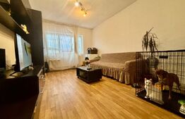 Apartament 2 camere, 43mp, zona Gheorghe Doja