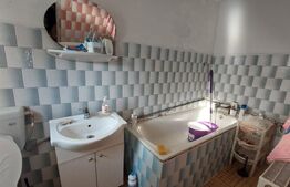 Casa individuala cu 304 mp teren, in Cartierul Intre Lacuri