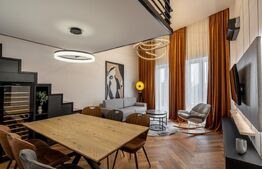 Studio open space+nisa de dormit, 45 mp, terasa, parcare, zona UMF