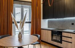 Studio open space+nisa de dormit, 45 mp, terasa, parcare, zona UMF