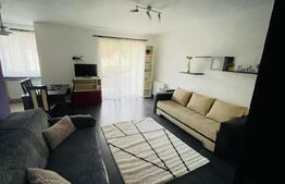 Apartament cu o camera, mobilat, parcare, etaj 1, zona Atelierul de Pizza