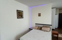 Apartament cu o camera, lux , parcare , pet friendly , zona Calea Turzii