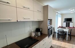 Apartament cu o camera, lux , parcare , pet friendly , zona Calea Turzii