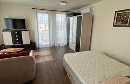 Apartament cu o camera, lux , parcare , pet friendly , zona Calea Turzii