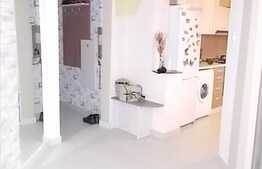 2 camere, 53 mp utili, mobilat modern, boxa, zona strazii Fantanele