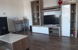 Casa de vanzare in Bod - Brasov,  cu 5 camere, mobilata